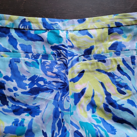 Beautiful Lily Pulitzer Shorts - Picture 6 of 7